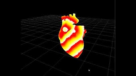 Whole heart Simulation model - parallel computing
