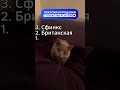 Твоя будущая кошка в топ-3 🐈