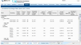 Financial Consolidation | Conexus SG | NetSuite Partner DFW