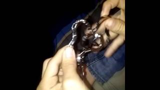 Easiest way to solve the hanayama coaster