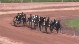 Vidéo de la course PMU PRIX COMITE DEPARTEMENTAL D'EQUITATION