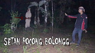 HANTU POCONG PERUTNYA TEMBUS