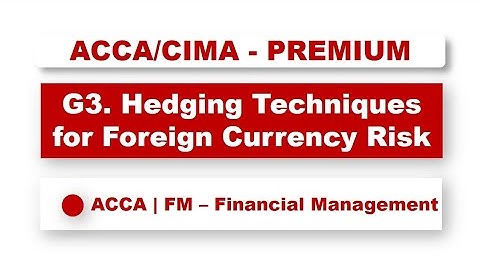 ACCA F9 - hedging techniques for foreign currency risk | @financeskul