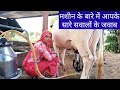 #milkingmachine 
Cow milking by machine, मशीन से जुड़े आपके सभी सवालों के जवाब इस वीडियो में देखिये।