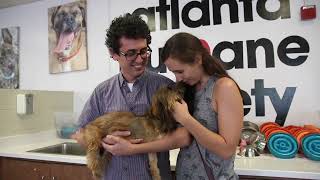 Welcome to the Atlanta Humane Society! by Atlanta Humane Society 506 views 8 months ago 1 minute, 26 seconds