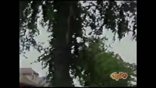 Lightning Strikes Tree