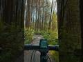 Gravel Trails in Stanley Park #cycling #immersiveaudio #asmr