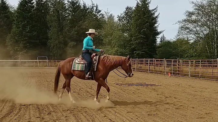 Stephanie Ramsey -- Sonnys Snickers, Open and Non-...