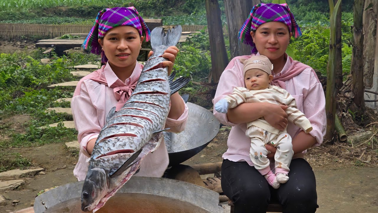 Harvest Fish & Crispy Fried Fish With Cooking Oil | Ly Thi Ca