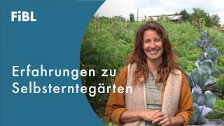 Selbsterntegärten - innovative Direktvermarktung von Gemüse