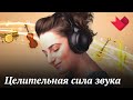 Как зависит жизнь от силы звука | Раскрывая мистические тайны