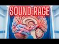 Misophonia: Why Certain Sounds Cause Rage