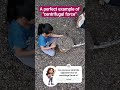 A perfect example of #centrifugalforce #physics #science | Nirav bhatt sir