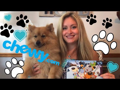 chewy online pets