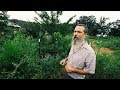 His Permaculture Garden Needs ONLY 2 Days of Work