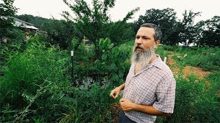 His Permaculture Garden Needs ONLY 2 Days of Work