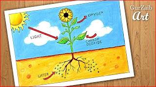 How to draw photosynthesis process of plants diagram drawing || easy labeled science project