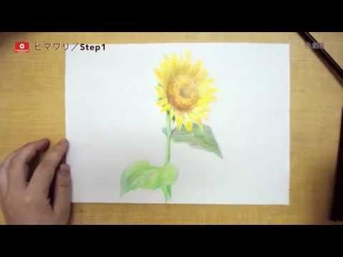 綺麗なヒマワリを色鉛筆で描く Youtube