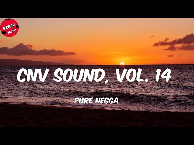 Pure Negga - Cnv Sound, Vol. 14 (Letra/Lyrics) class=