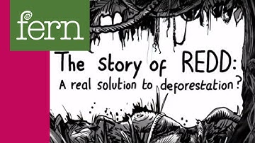 "The Story of REDD: A real solution to deforestation?"