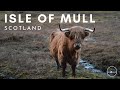 Isle of Mull Winter Camping Road Trip, Scotland