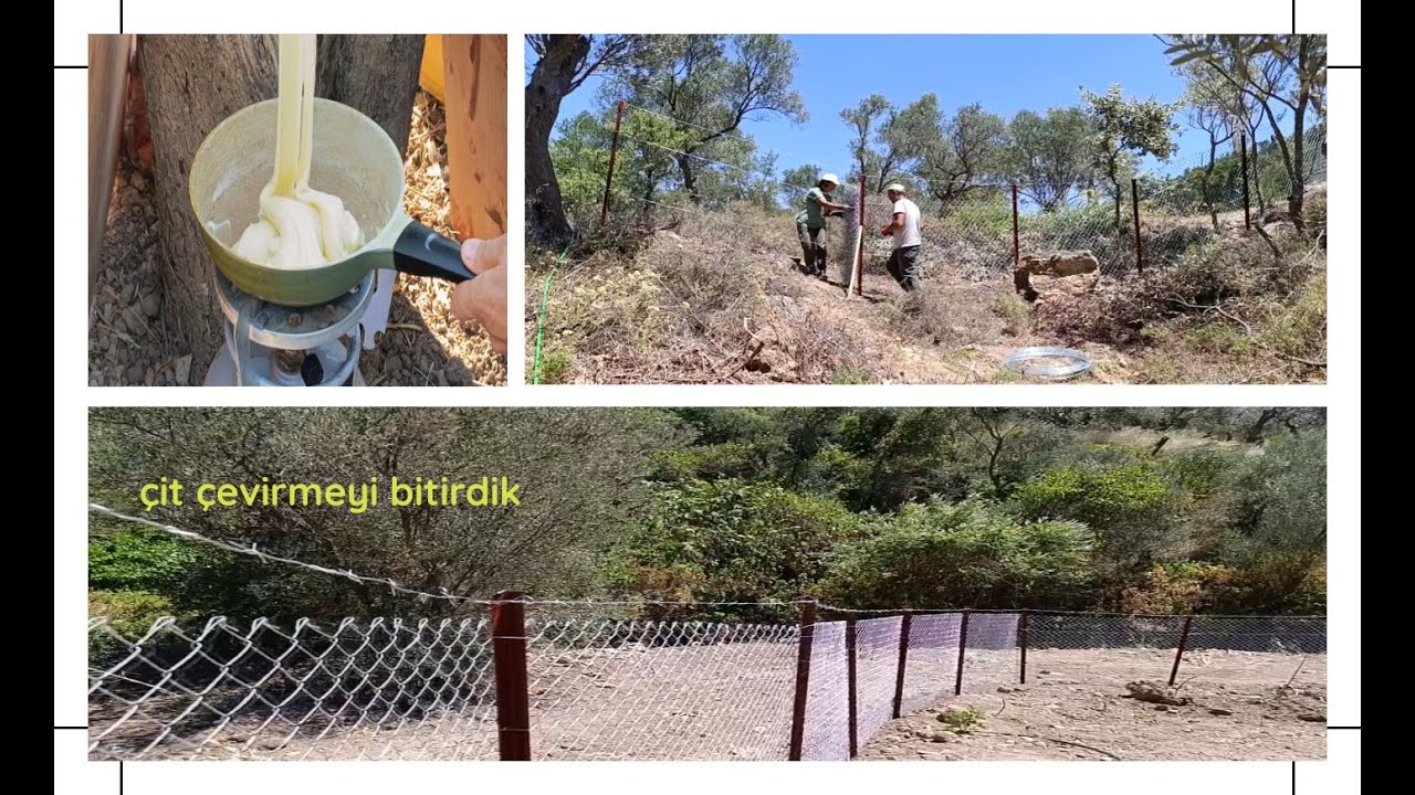 On Günlük Emeğin Sonucu