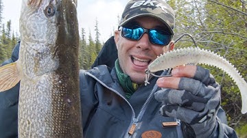 BKK - Titan Diver+ - Pike