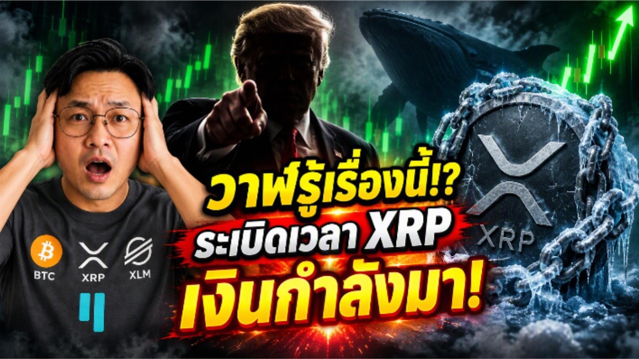 วาฬ XRP นิ่งสนิท 3.9 พันล้านเหรียญ!? รับมือทรัมป์แจกเงิน 1.7 ล้านล้าน