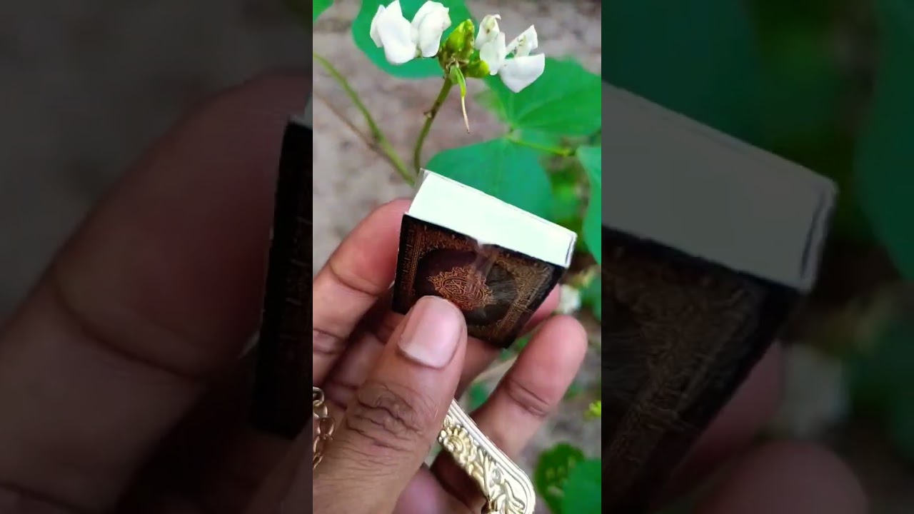 allahuallahviral🔥🔥🔥top🔥🔥viral🔥🔥must🔥viral🔥🔥wolrd🔥🔥mini🔥quran🔥🔥