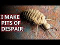 Antlion facts: Scariness in the Sand | Animal Fact Files