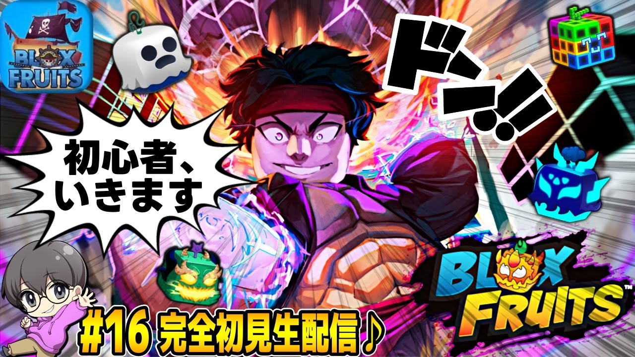 16【レベル上げじゃー】ブロックスフルーツ(BLOX FRUITS) 完全初見生