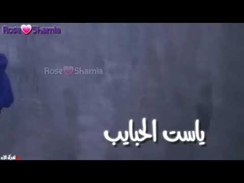 كم جوز جرابات رئعتيلي