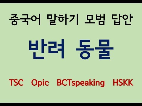 반려 동물 | 중국어 말하기 모범답안 | <strong>TSC</strong> 중국어오픽 말하기 시험용