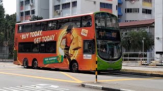 (Shopee Full Body Advertisement) SG5049R(SEDEP SP) On Service 807 At Yishun Ring Road 