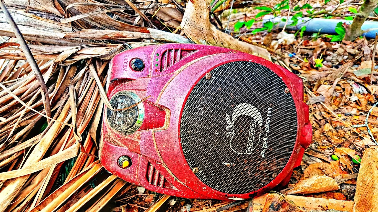 The guy found a Bluetooth speaker while picking mangoes and restored it beautifully