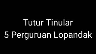 Episode 127  128 Tutur Tinular  5 Perguruan Lopanda