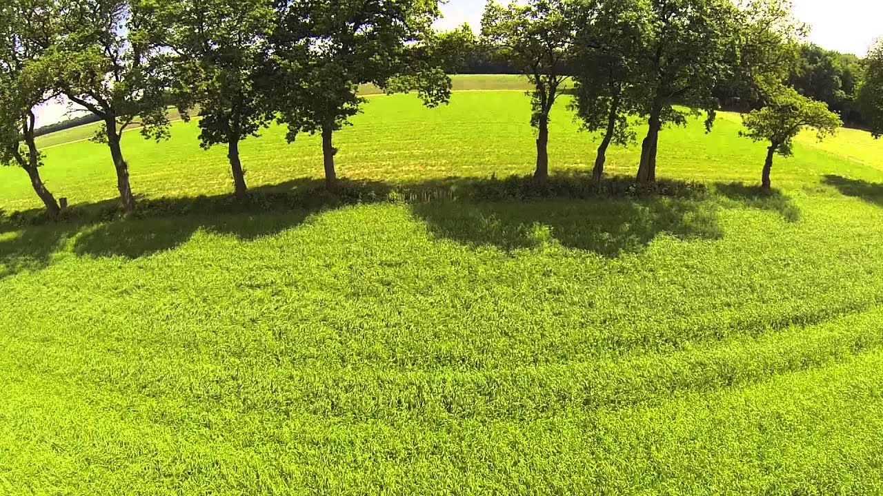 Flip 260 Maiden Flight (Naze 32, 4S Lipo, Cobra 1960kv's)