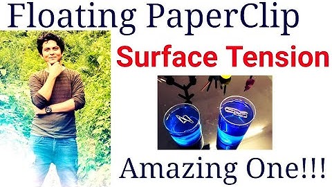 Floating Paper Clips||Surface Tension||Amazing and Wounderful Science Experiment||Must Watch