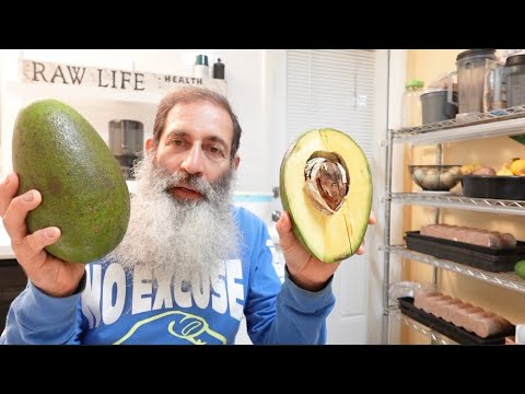 My Favorite Tasting Florida Avocados For Each Season
