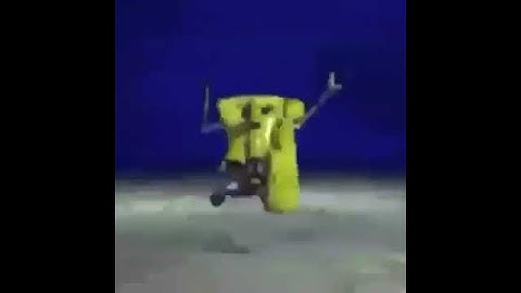 3d spongebob animation