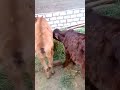 سوهاج أخميم آبار الوقف تواصل معنا عبر الهاتف ٠١٢٠٦٤٥٦٧٣٤ سوهاج أخميم آبار الوقف تواصل معنا عبر الهاتف ٠١٢٠٦٤٥٦٧٣٤