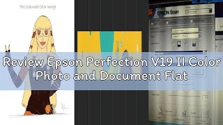 Review Epson Perfection V19 II Color Photo and Document Flatbed Scanner with 4800 dpi Optical Resolu