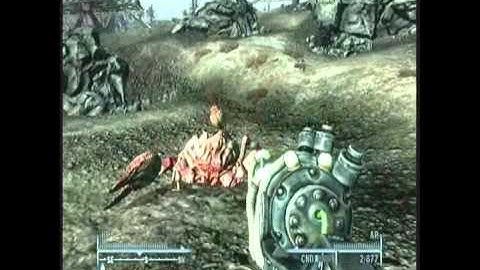 Fallout 3 Albino Radscorpion attack!
