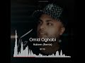       omid oghabi  hakem remix