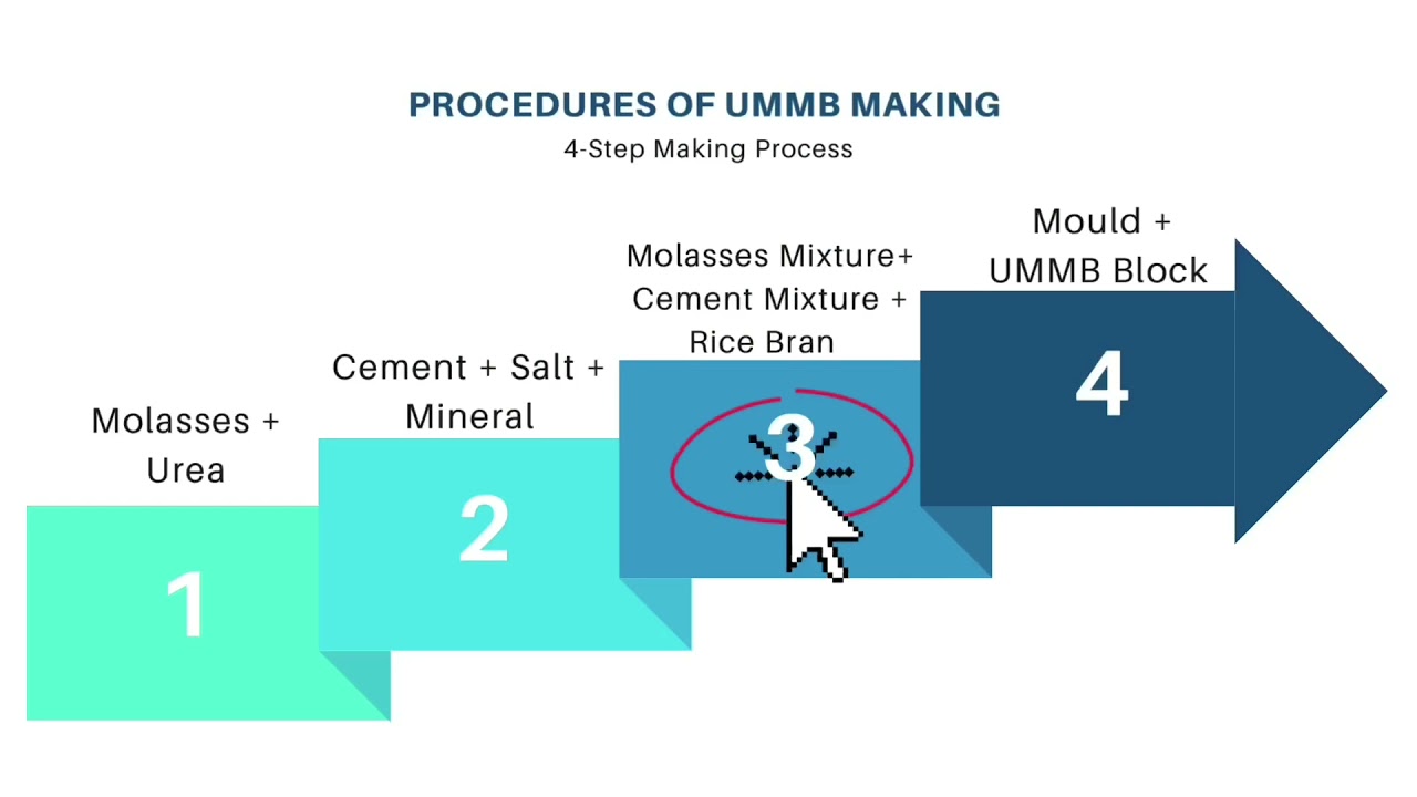 Urea Molasses Mineral Block (UMMB)Making Process YouTube