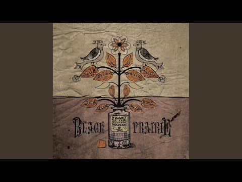 Black Prairie — Across The Black Prairie