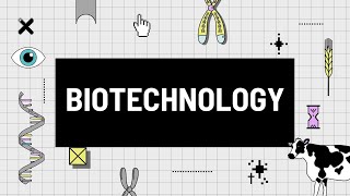 Plasmids and Restriction Enzymes