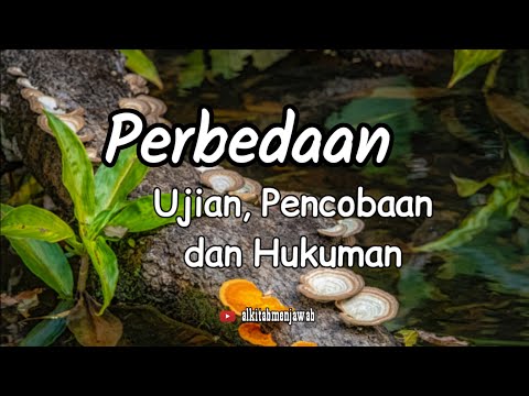 Video: Apa yang dimaksud dengan suara ujian?