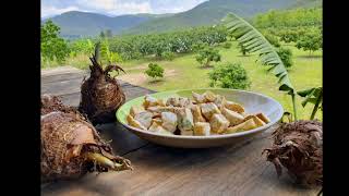 นาป่าฮง Na Pa Hong Tree House & Forest Camp Phrao, Chiangmai | NaPaHong