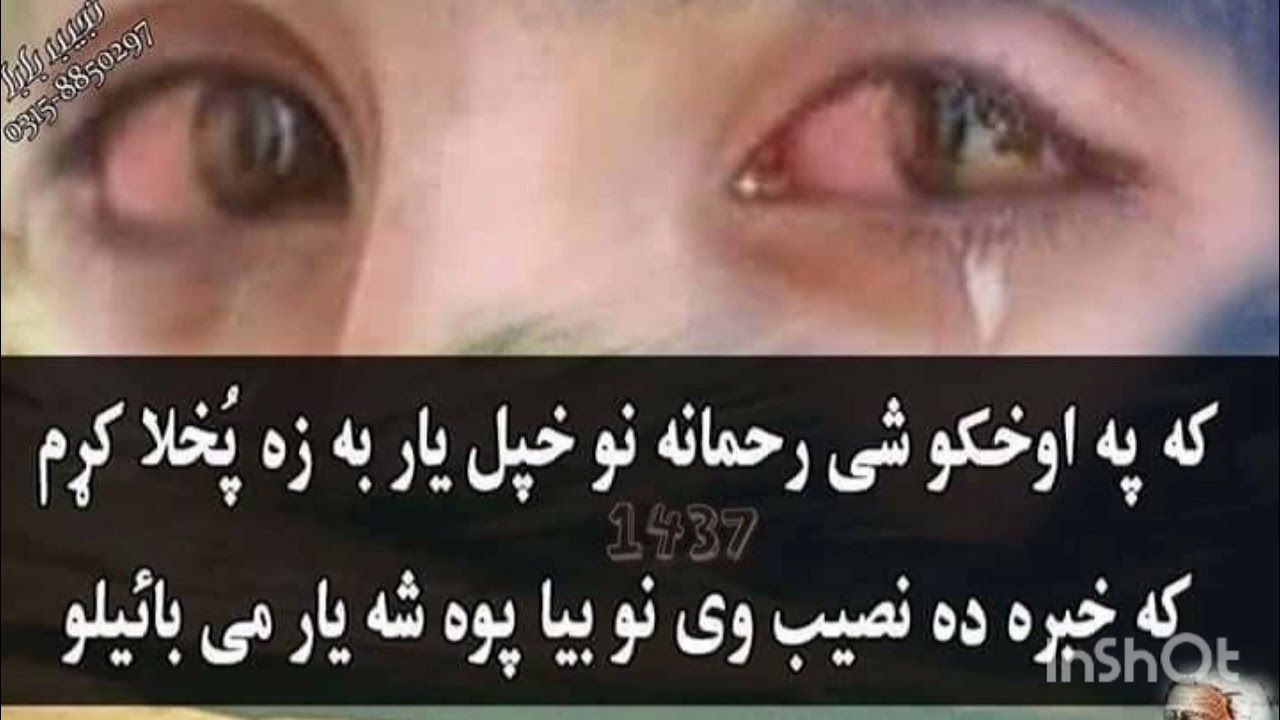 bast pashto song lyrics 2026
